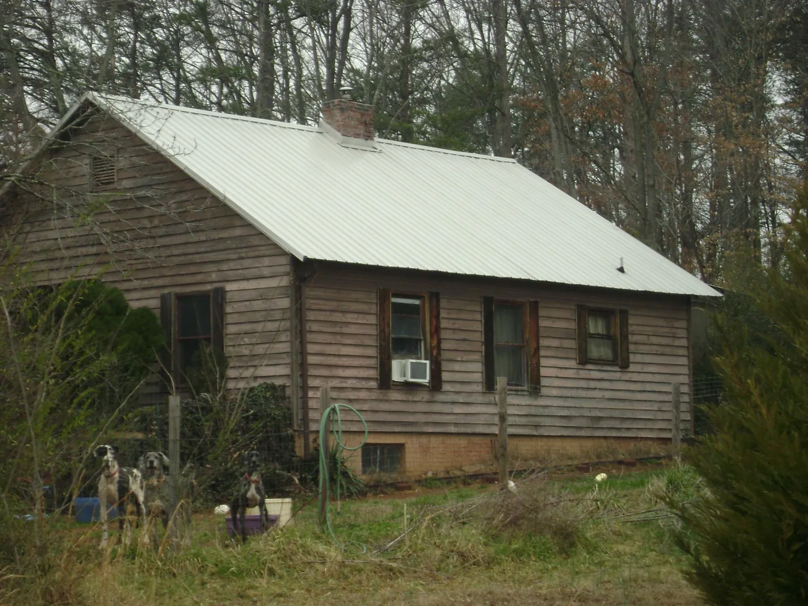 White metal roof on an old wood sided farmhouse, from a Asphalt Shingle Roof Repair job in Owingsville